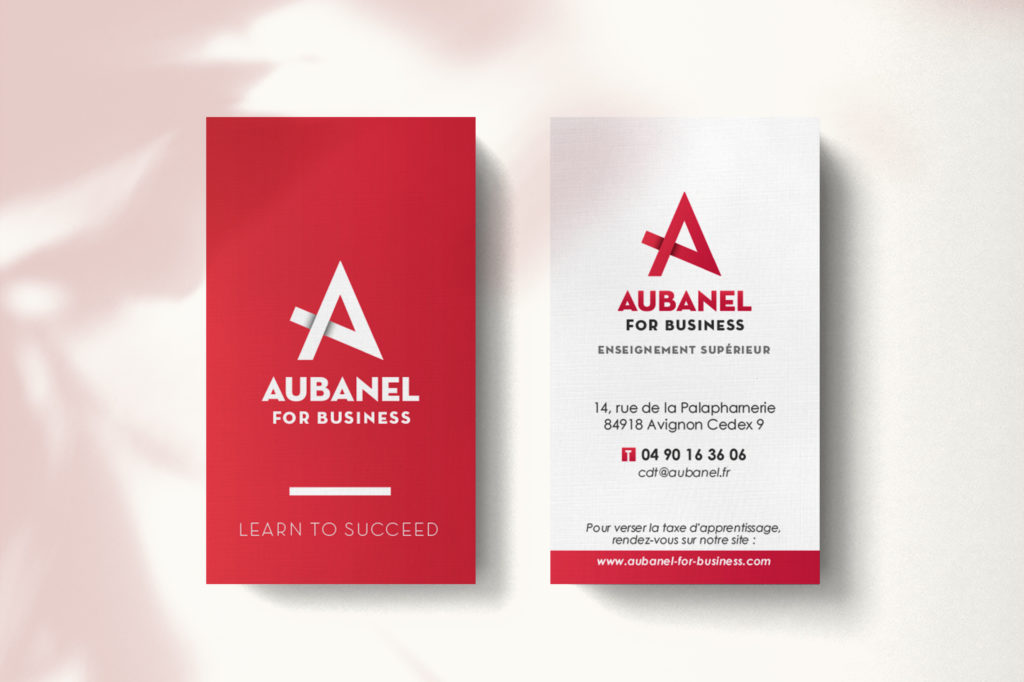 Lycée Aubanel, communication globale