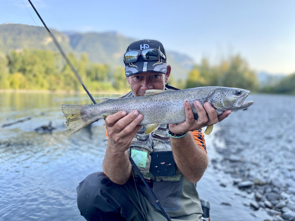 Catalogue Laurent Jauffret