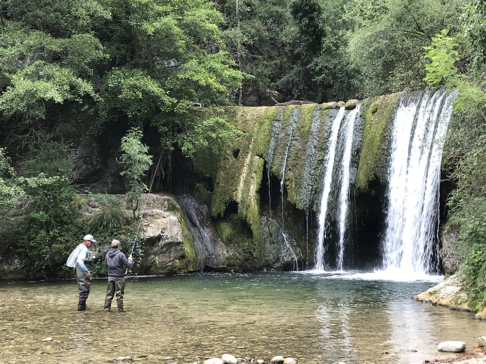 Catalogue Laurent Jauffret