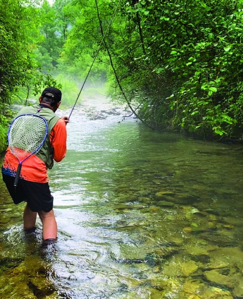 illustration catalogue toc à la nymphe