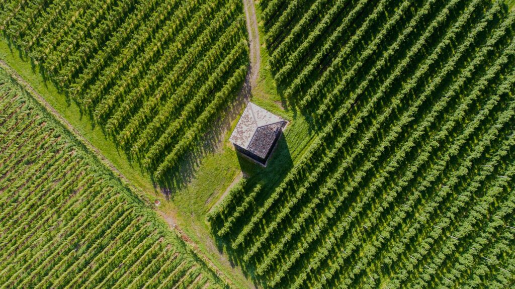 illustration drone premium