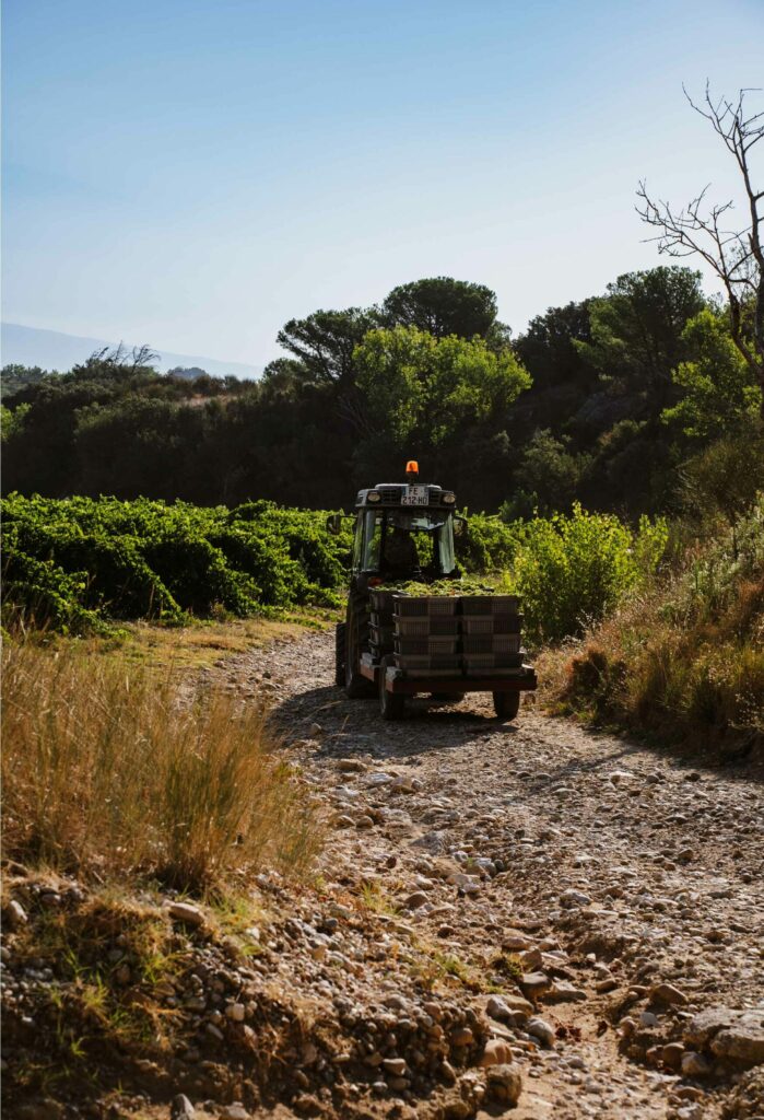 Château de Vaudieu, création boutique en ligne