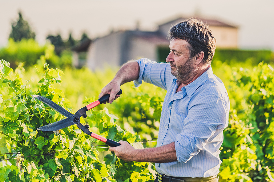 TEST Shooting photos