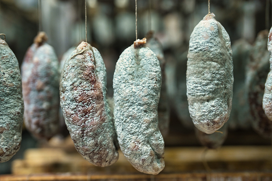 TEST Shooting photos