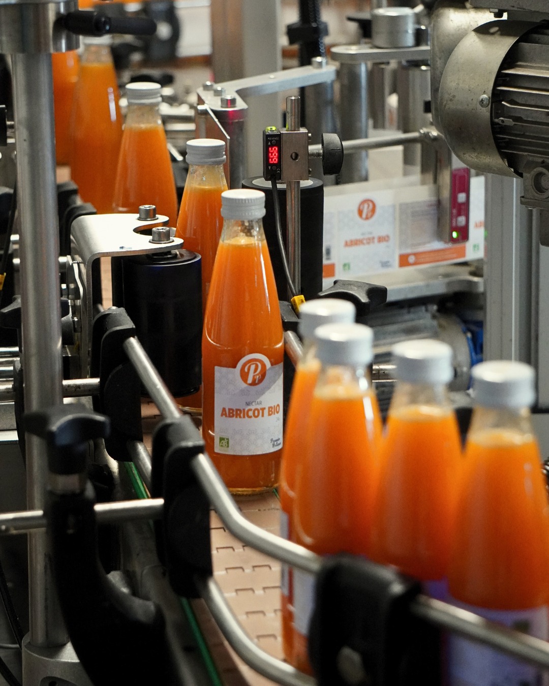 sojufel_pressoirs_provence_